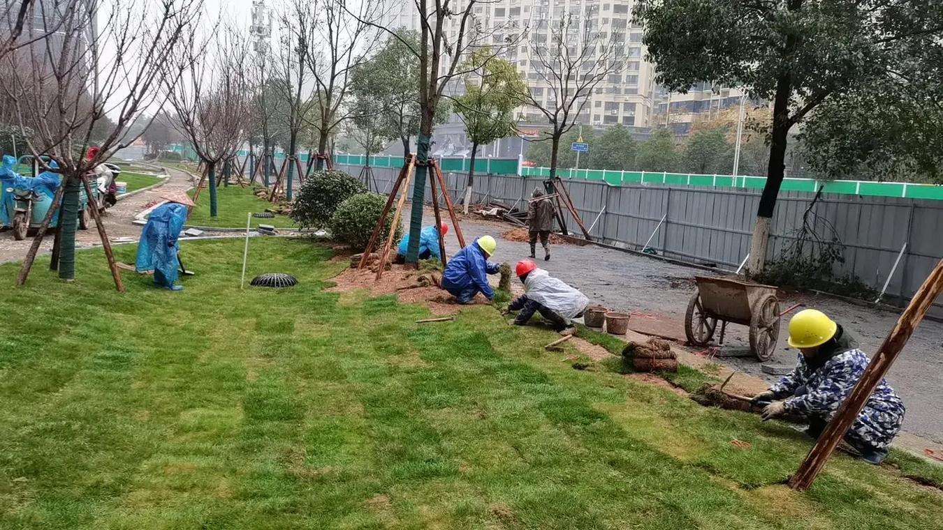園林景觀綠化工程專業(yè)綠化施工 綠色體育場(chǎng)地設(shè)施建設(shè)的重要助力